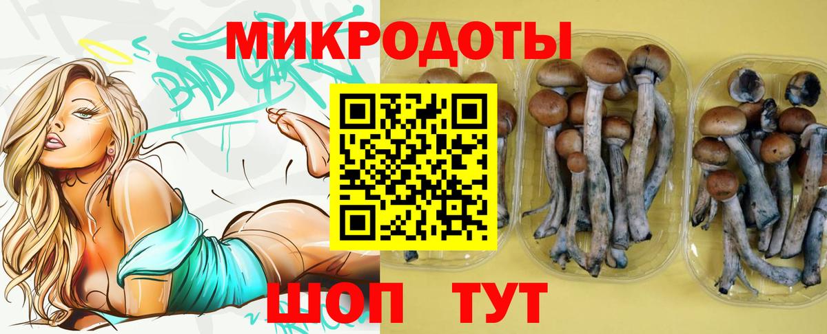 Псилоцибиновые грибы ЛСД Ипатово
